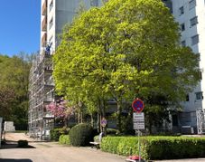 Das Hochhaus in der Amsterdamer Straße in Böblingen wird saniert.